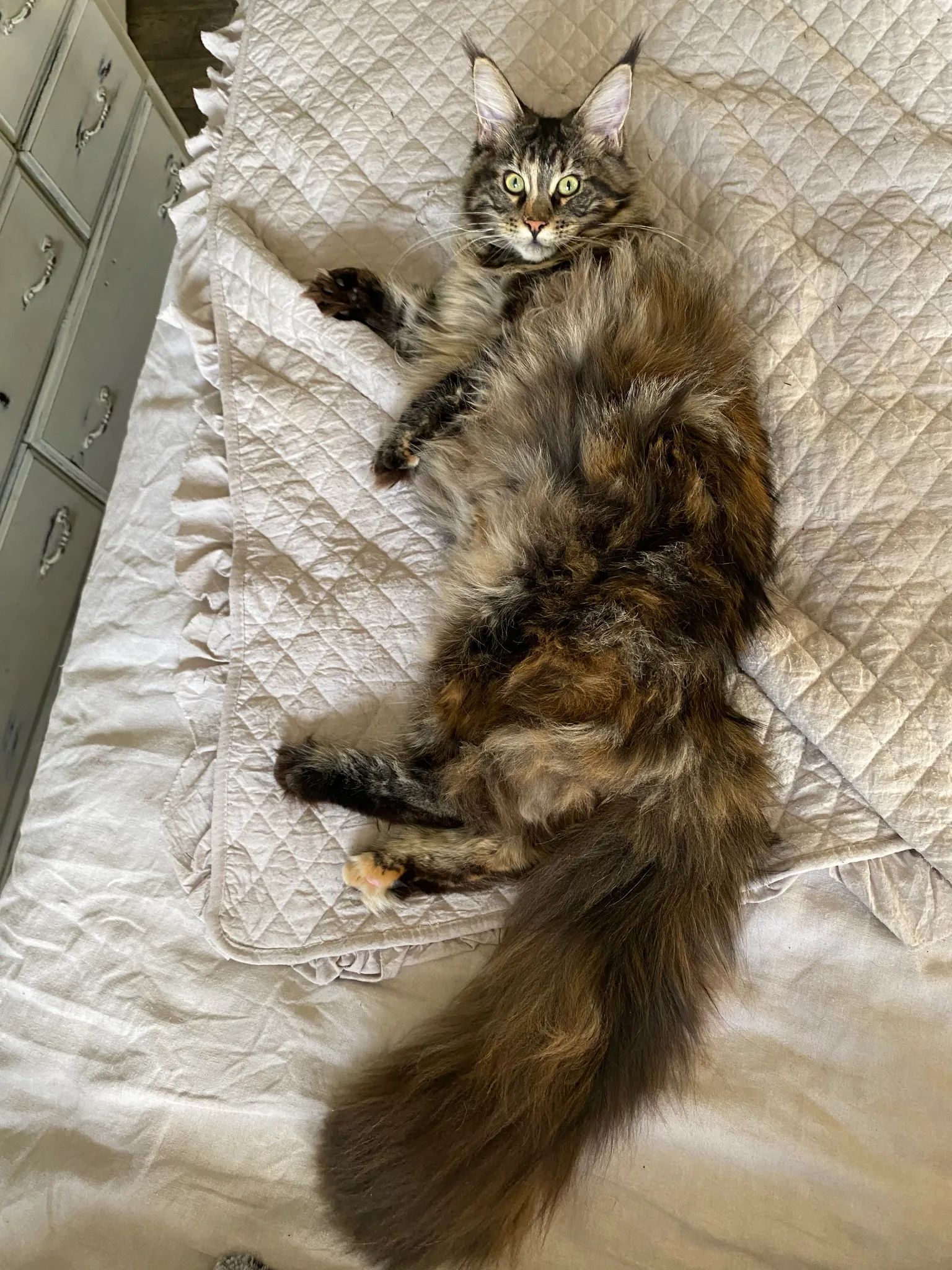 cecily-bed-body.webp